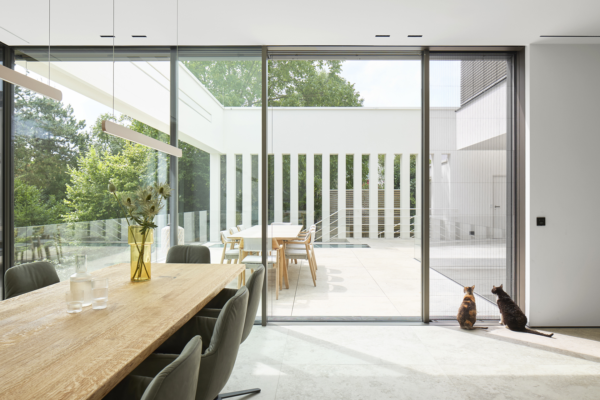 Diese Architekturfotografie zeigt den Essbereich und die Terrasse eines modernen grosszügigen Einfamilienhauses mit zwei Katzen an der Glastür, die nach draussen schauen.